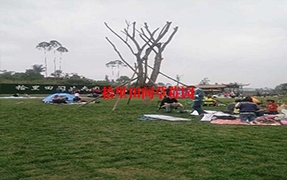 采摘左手视频APP污最新版